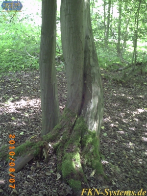 pict0046.jpg
