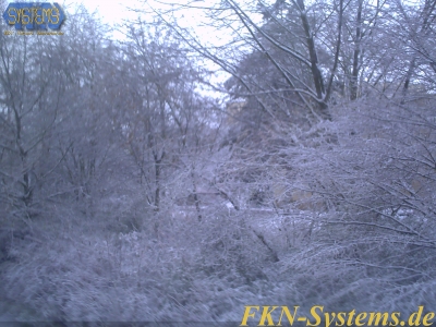 pict0008.jpg