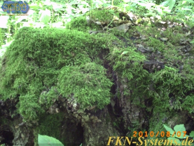 pict0059.jpg