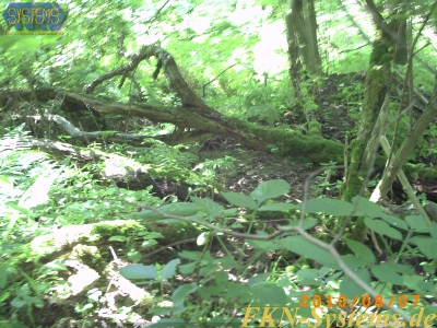 pict0036.jpg