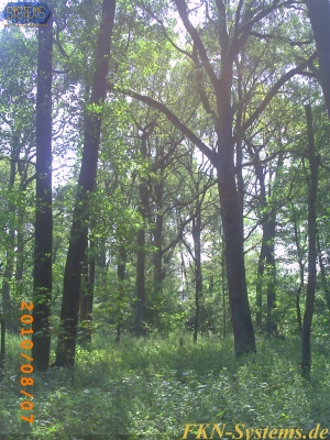 pict0136.jpg