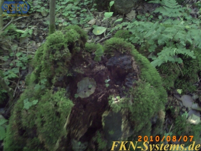 pict0041.jpg