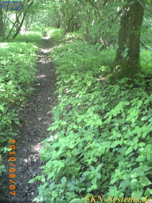 pict0076.jpg