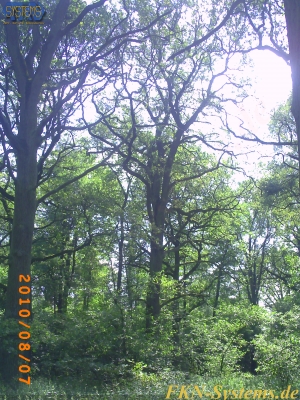 pict0138.jpg