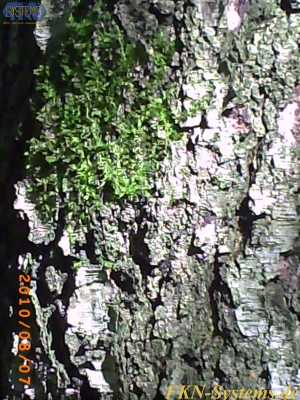 pict0023.jpg