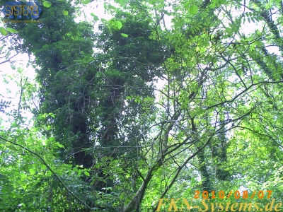 pict0108.jpg