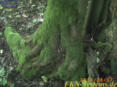 pict0068.jpg