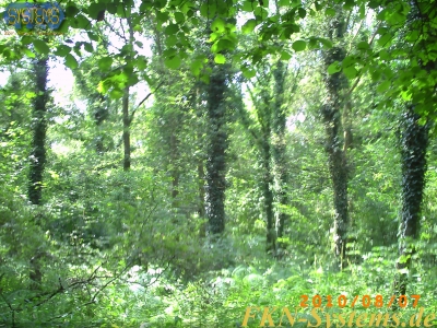 pict0102.jpg