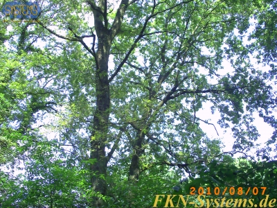 pict0090.jpg