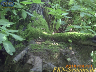 pict0083.jpg