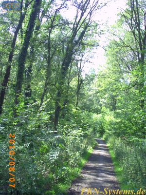 pict0111.jpg