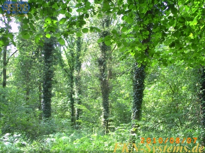 pict0101.jpg