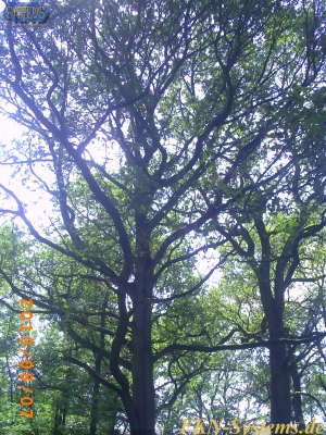 pict0139.jpg