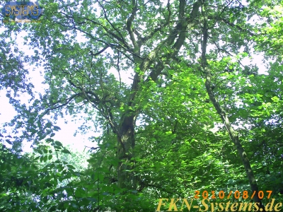 pict0089.jpg