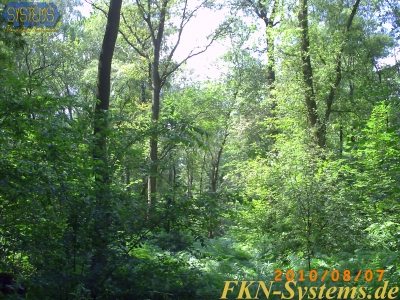 pict0091.jpg