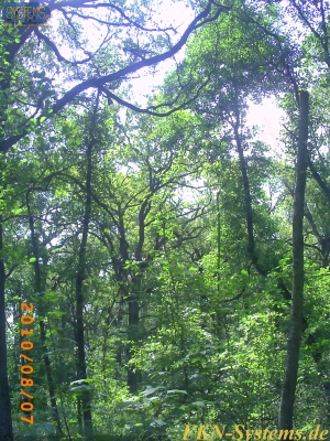 pict0134.jpg