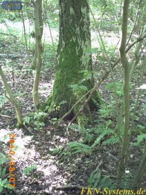 pict0024.jpg