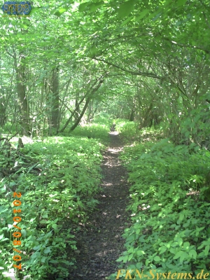 pict0077.jpg