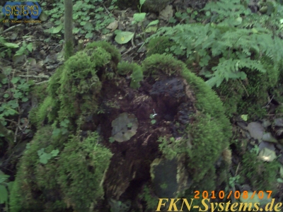 pict0042.jpg