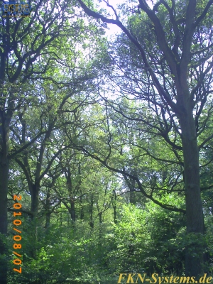 pict0137.jpg