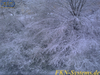 pict0006.jpg