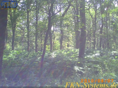 pict0113.jpg