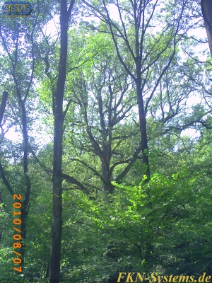 pict0133.jpg