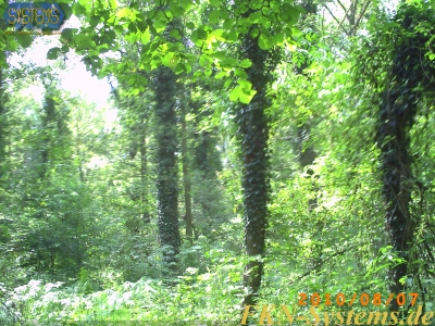 pict0104.jpg