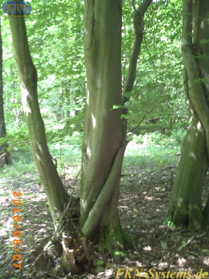pict0049.jpg
