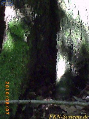 pict0028.jpg