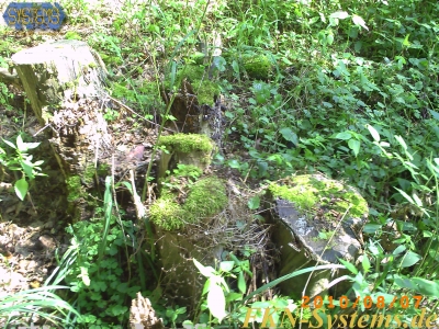 pict0066.jpg