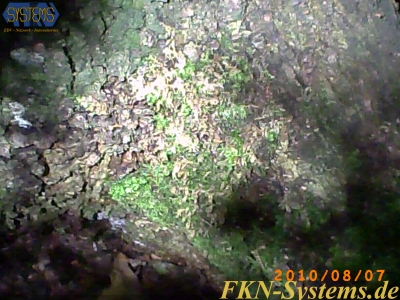 pict0027.jpg