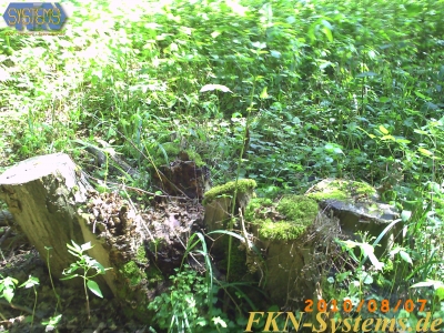 pict0067.jpg