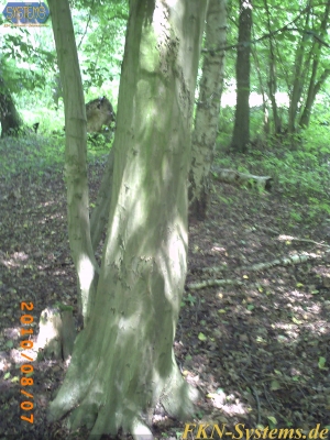 pict0051.jpg