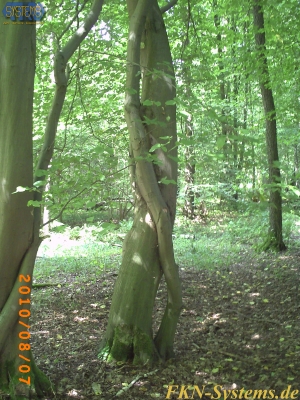 pict0050.jpg