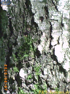 pict0022.jpg
