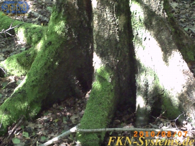 pict0032.jpg