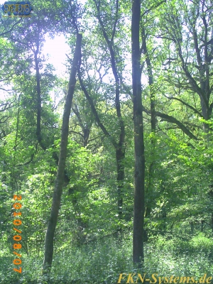pict0135.jpg