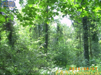 pict0106.jpg