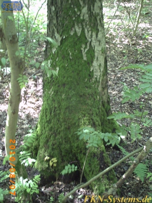 pict0025.jpg