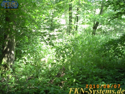 pict0054.jpg