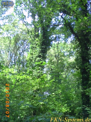 pict0112.jpg