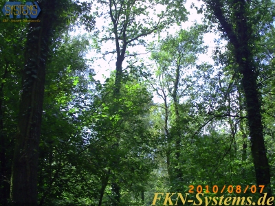 pict0094.jpg